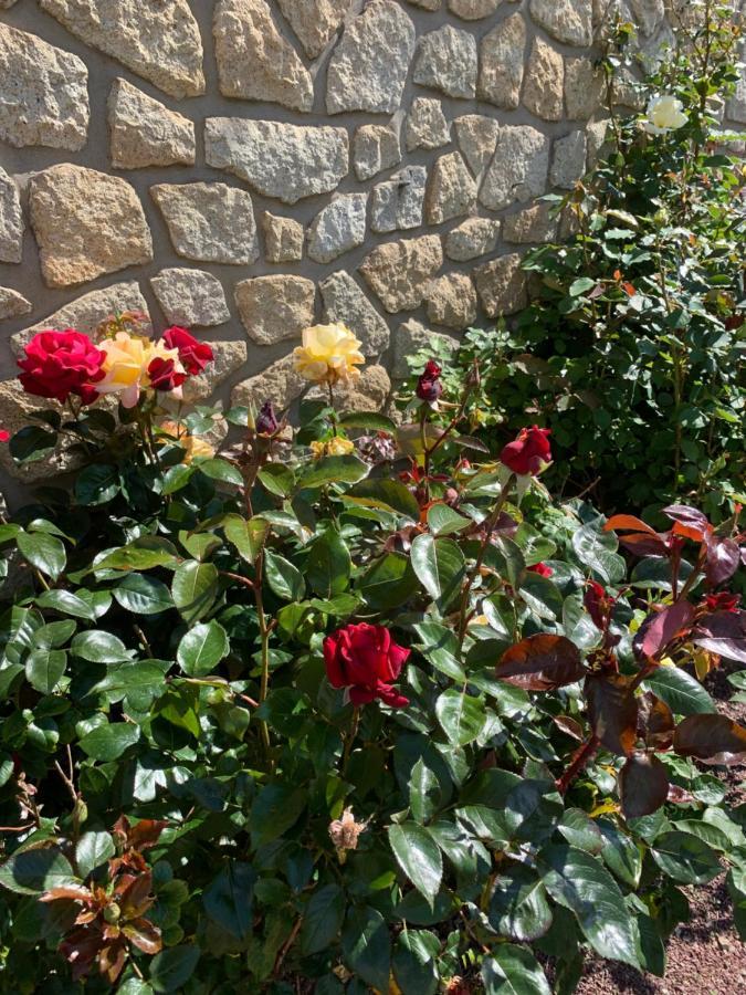 Ker-Loen Bed & Breakfast Val-Couesnon Dış mekan fotoğraf